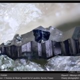 Anatase
fov 2.2 mm
(Autor: ploum)