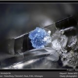 Jeremejevite
fov 1.1 mm
(Autor: ploum)