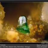 Torbernite
(Autor: ploum)