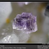 Fluorite
fov 2.2 mm
(Autor: ploum)