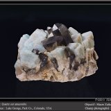 Microcline (variety amazonite) and Quartz (variety smoky)
fov 60 mm
(Autor: ploum)