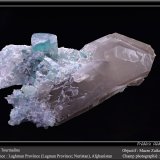 Elbaite (Tourmaline Group) on Quartz (variety smoky)
fov 10 cm
(Autor: ploum)