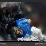 Cumengeite
fov 1.0 mm
(Autor: ploum)