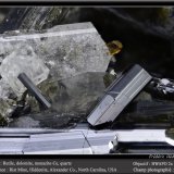 Rutile and Monazite
fov 12 mm
(Autor: ploum)