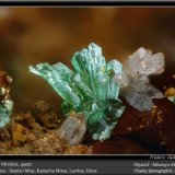 Olivenite and Quartz
fov 2.2 mm
(Autor: ploum)