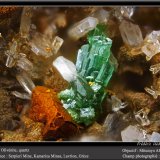 Olivenite and Quartz
fov 2.2 mm
(Autor: ploum)