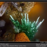 Olivenite and Quartz
fov 2.2 mm
(Autor: ploum)