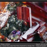 Realgar and Stibnite
fov 4.5 mm
(Autor: ploum)