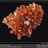 Vanadinite
fov 4 cm
(Autor: ploum)