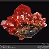 Vanadinite
fov 6 cm
(Autor: ploum)