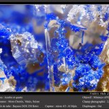 Azurite on Quartz
fov 2.8 mm
(Autor: ploum)