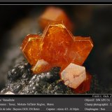 Vanadinite
fov 5.4 mm
(Autor: ploum)