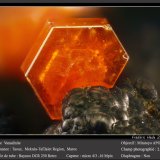 Vanadinite
fov 2.7 mm
(Autor: ploum)