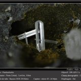 Paralaurionite
fov 5.5 mm
(Autor: ploum)
