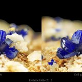 Azurite
fov 5.2 mm.
(Autor: ploum)