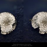 Phillipsite
fov 2.6 mm.
(Autor: ploum)