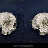 Phillipsite
fov 2.6 mm.
(Autor: ploum)
