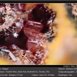 Realgar
fov 2.6 mm
(Autor: ploum)