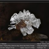 Willemite
fov 2.6 mm
(Autor: ploum)