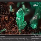 Dioptase
fov 1.3 mm
(Autor: ploum)
