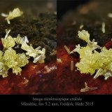 Mimetite
fov 5.2 mm
(Autor: ploum)