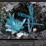 Caledonite
2.2 mm
(Autor: ploum)