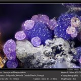 Strengite et Phosphosiderite
fov 1.1 mm
(Autor: ploum)