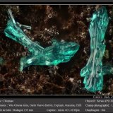 Dioptase
fov 1.2 mm
(Autor: ploum)