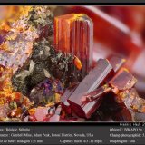Realgar and Stibnite
fov 5.2 mm
(Autor: ploum)