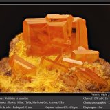 Wulfenite and Mimetite
fov 13 mm
(Autor: ploum)