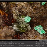 Olivenite and Cornwallite
fov 2.6 mm
(Autor: ploum)