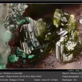 Olivenite and Cornwallite
fov 2.6 mm
(Autor: ploum)