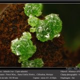 Adamite (variety cuprian adamite)
fov 4 mm
(Autor: ploum)