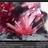 Erythrite
fov 2.6 mm
(Autor: ploum)