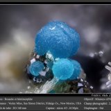Rosasite and Hemimorphite
fov 2.0 mm
(Autor: ploum)