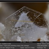 Tridymite and Rutile
fov 2.6 mm
(Autor: ploum)