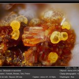 Beraunite and Cacoxenite
fov 0.7 mm
(Autor: ploum)