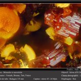 Beraunite and Cacoxenite
fov 0.9 mm
(Autor: ploum)