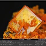 Wulfenite
fov 8 mm
(Autor: ploum)