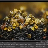Pyrite, Siderite and Goethite
fov 3.2 mm
(Autor: ploum)