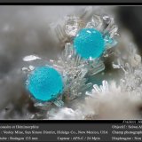 Rosasite and Hemimorphite
fov 1.8 mm
(Autor: ploum)
