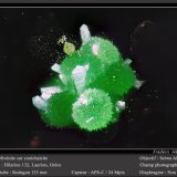 Olivenite and Conichalcite
fov 1.8 mm
(Autor: ploum)