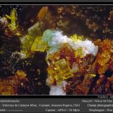 Molybdofornacite
0.55 mm
(Autor: ploum)