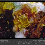 Molybdofornacite
0.3 mm
(Autor: ploum)