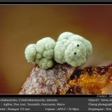 Cobaltaustinite, Cobaltlotharmeyerite, Dolomite
fov 1.8 mm
(Autor: ploum)