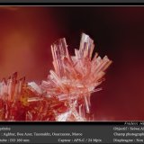 Erythrite
fov 1.4 mm
(Autor: ploum)
