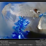 Azurite on Quartz
fov 0.6 mm
(Autor: ploum)