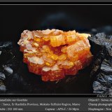 Vanadinite on Goethite
fov 7 mm
(Autor: ploum)