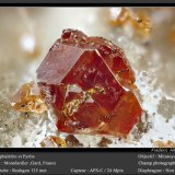 Sphalerite and Pyrite
fov 3.6 mm
(Autor: ploum)
