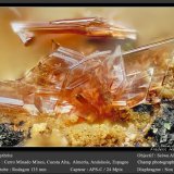 Erythrite with Conichalcite
fov 1.8 mm
(Autor: ploum)